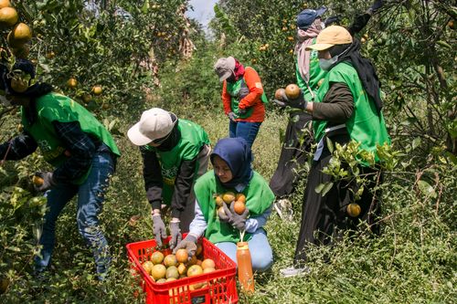 Edukasi & Kampanye Food Waste